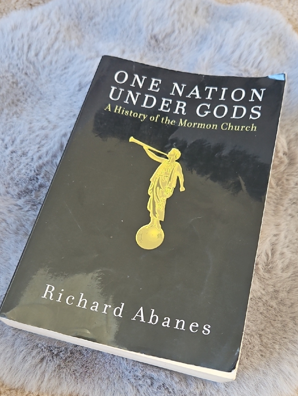 One Nation Under Gods Book By Richard Abanes